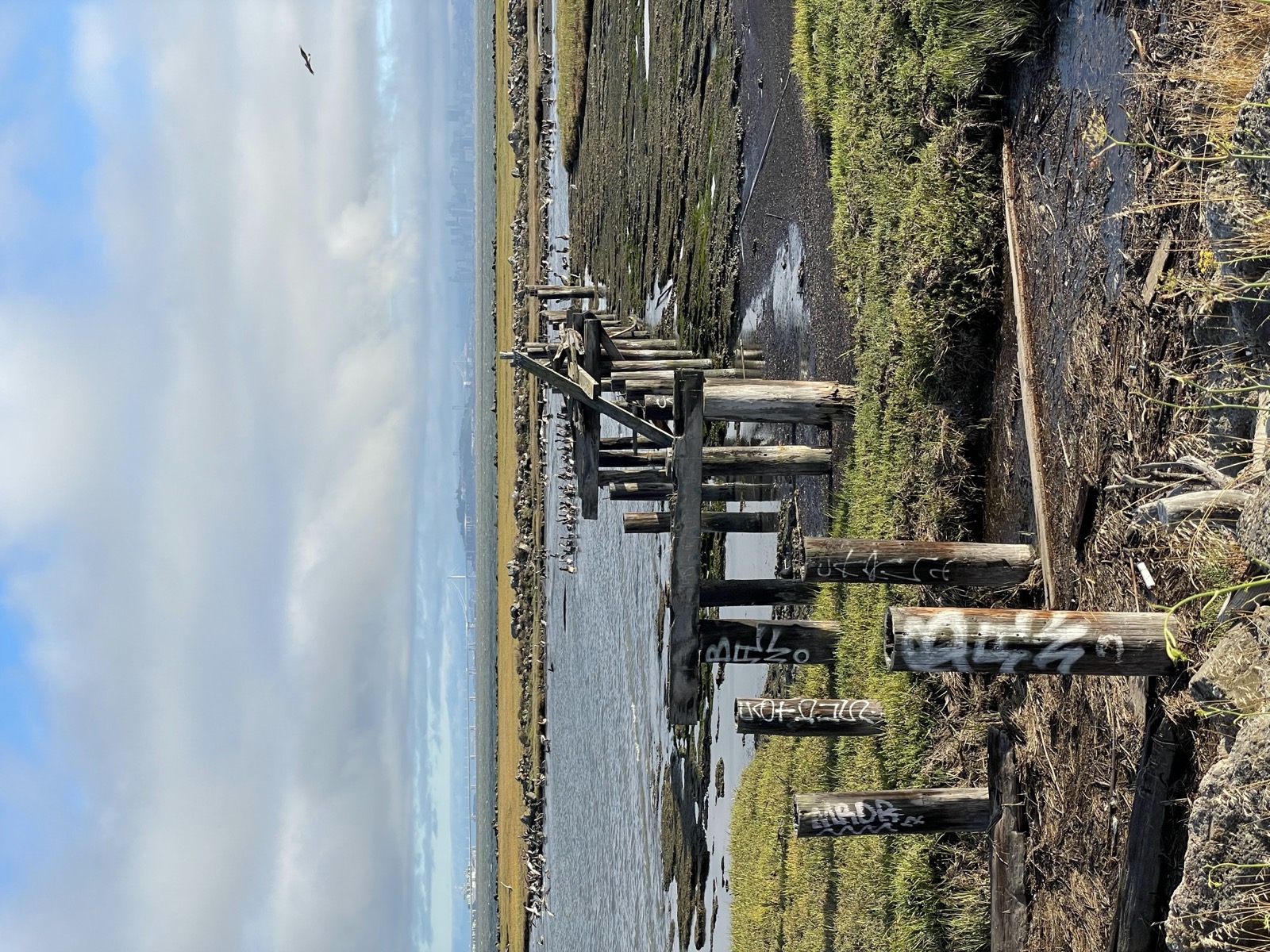 Segment 80, photo 6