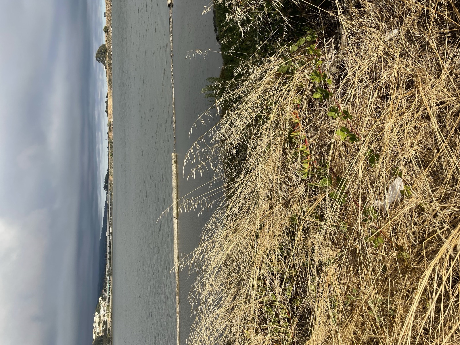 Segment 80, photo 7
