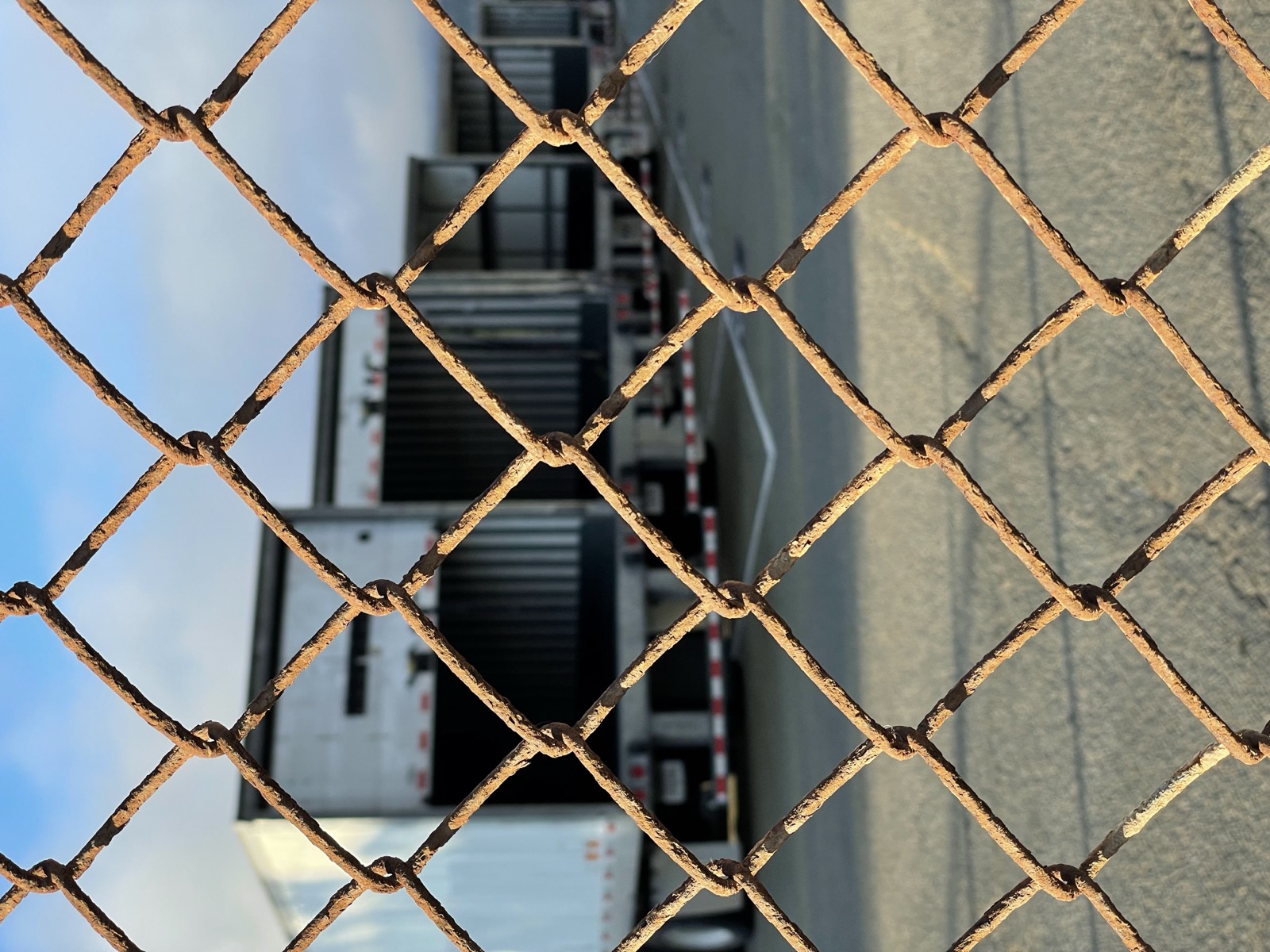 Segment 80, photo 11