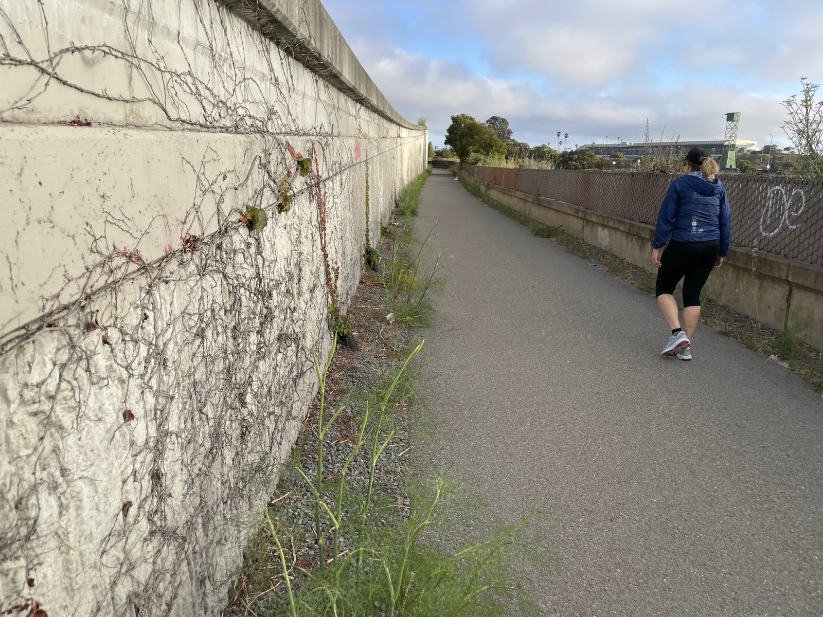 Segment 81, photo 4