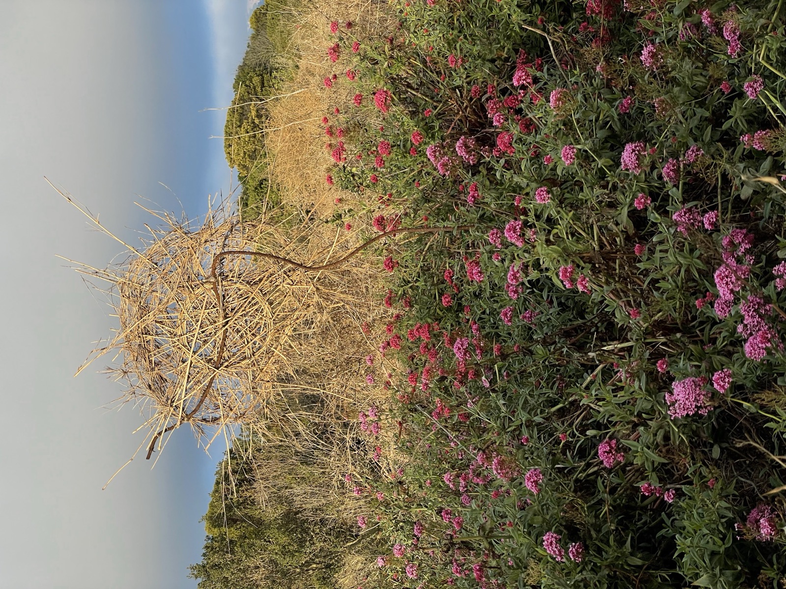 Segment 81, photo 15