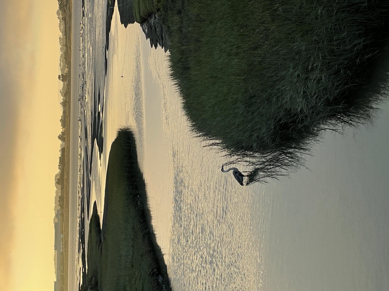 Segment 81, photo 16