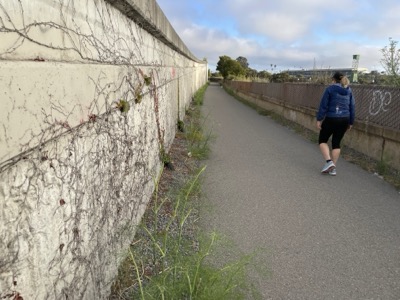 Segment 81 photo 4