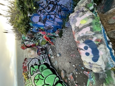 Segment 81 photo 9