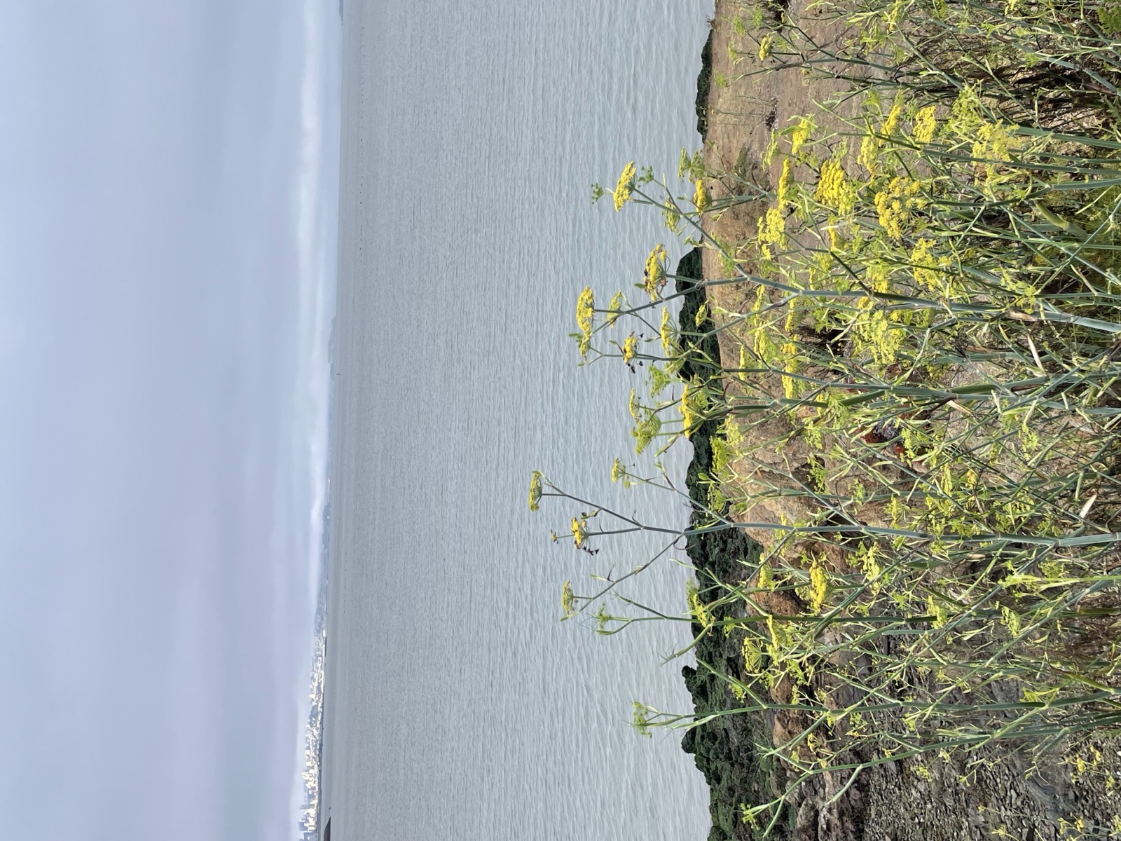 Segment 82, photo 6