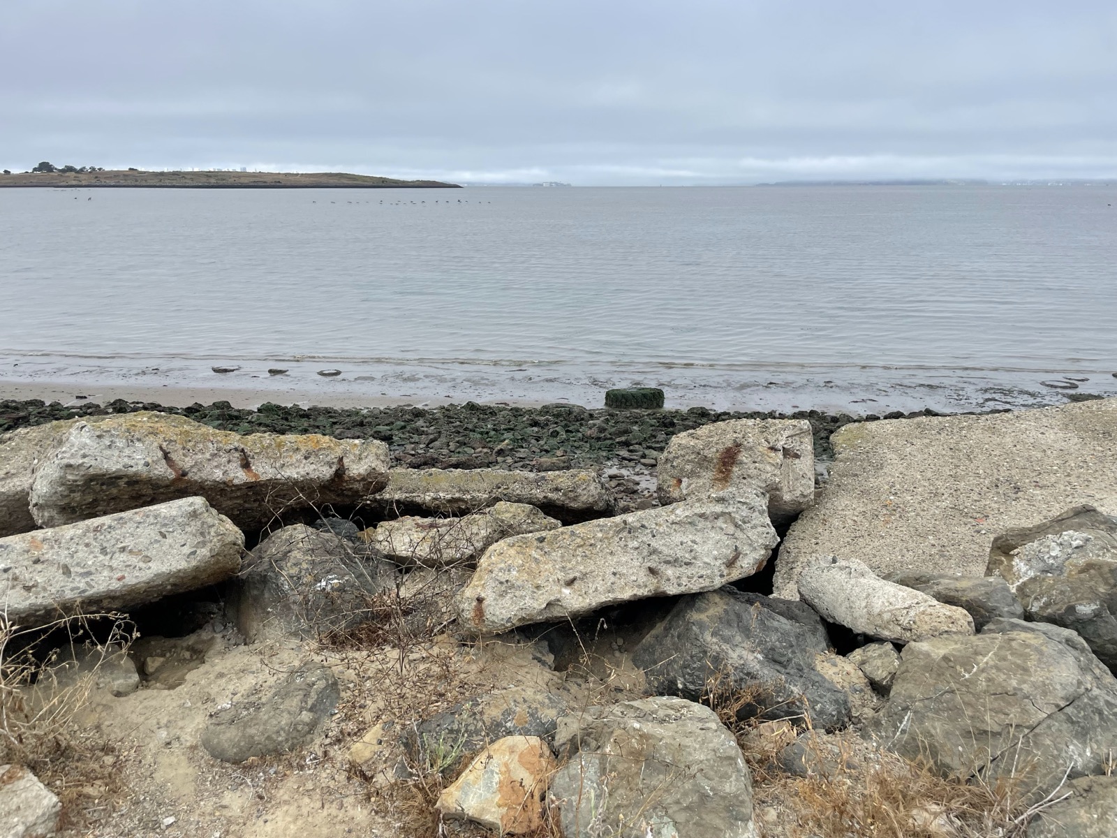 Segment 82, photo 8