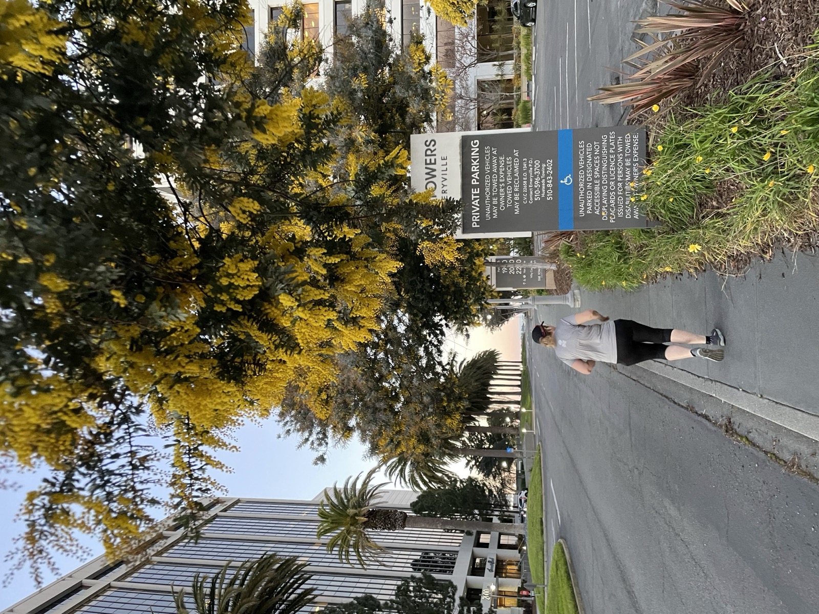 Segment 83, photo 8