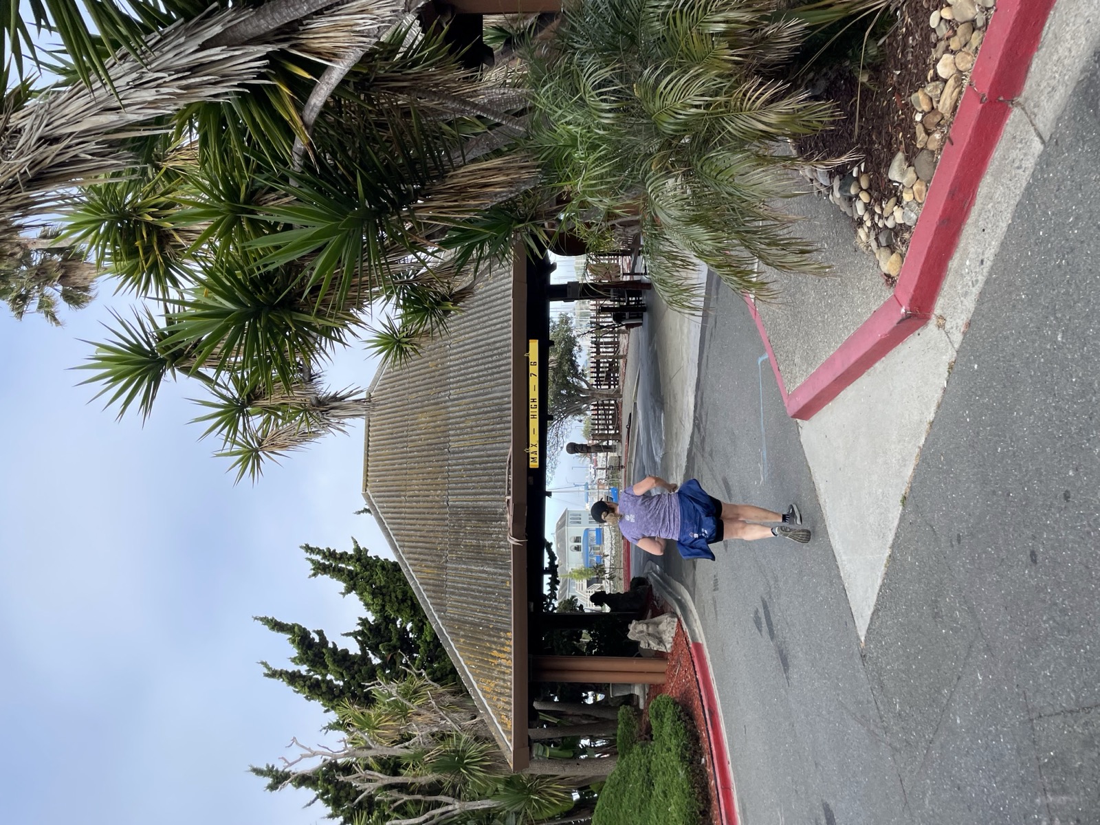 Segment 83, photo 17