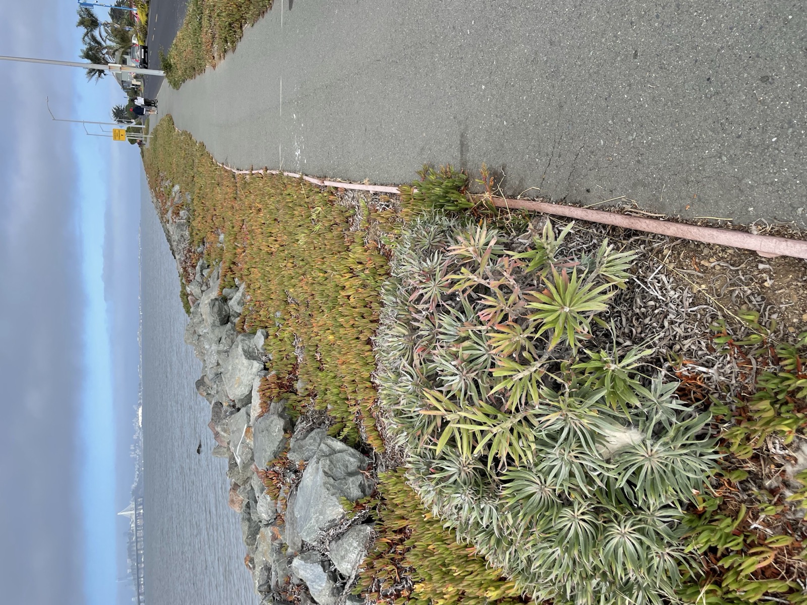 Segment 83, photo 20