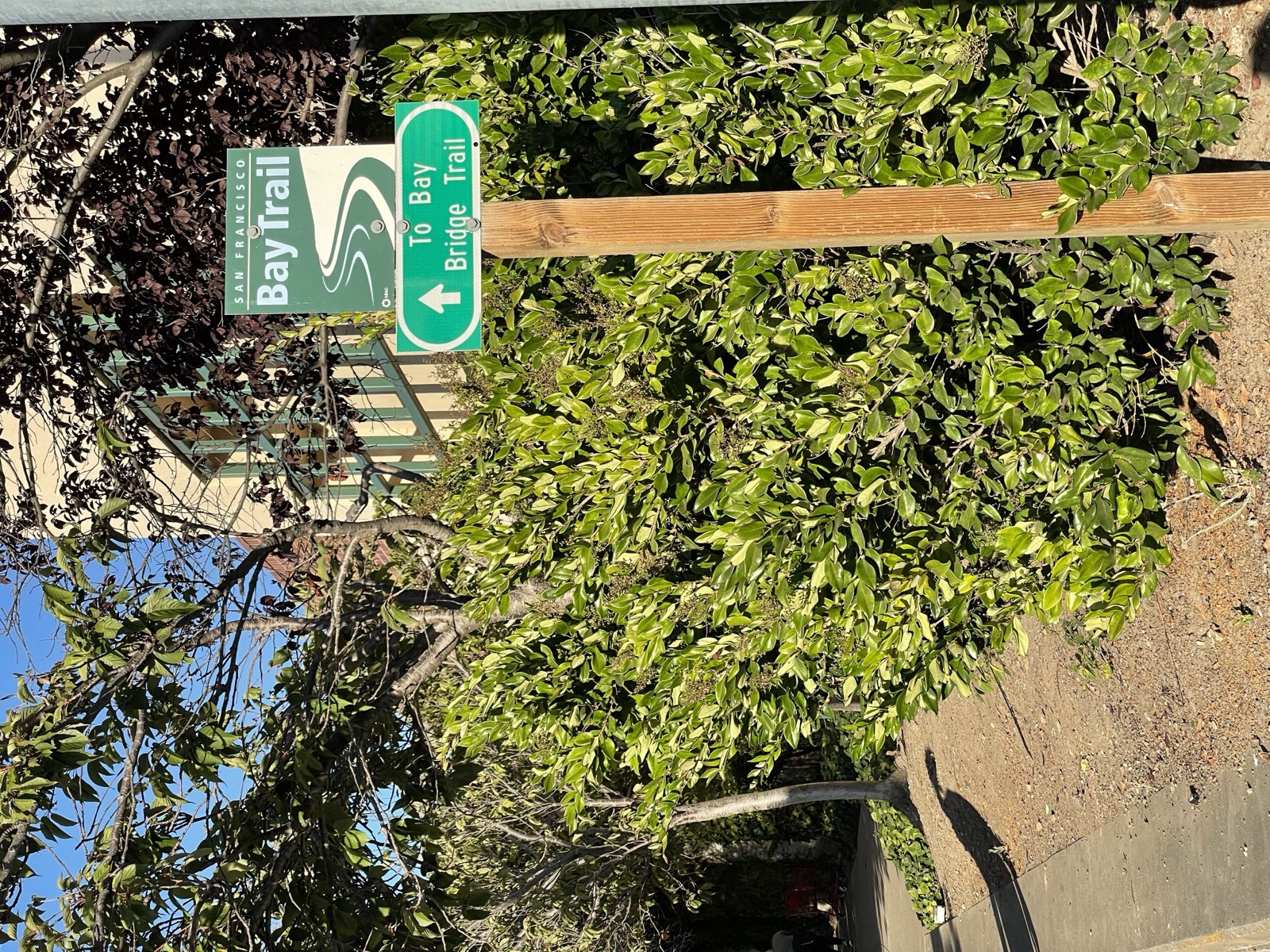 Segment 84, photo 6