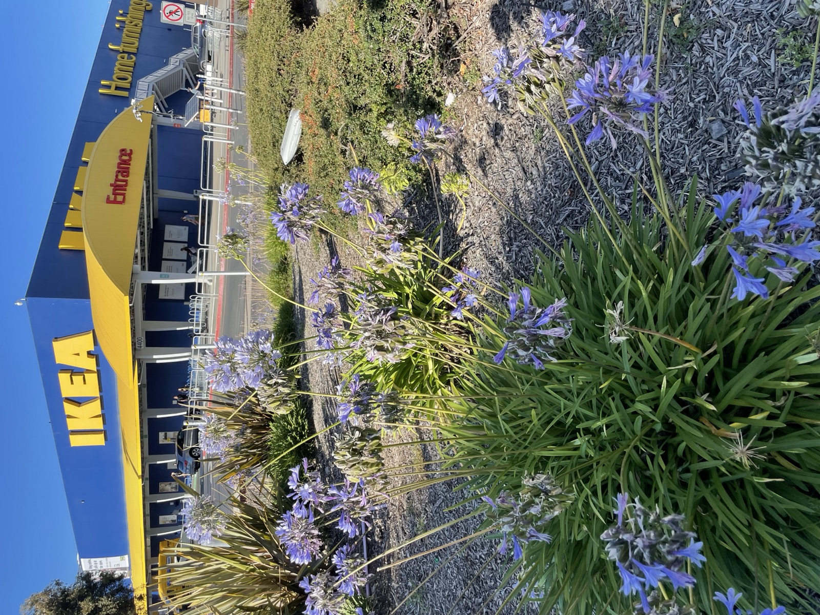 Segment 85, photo 1