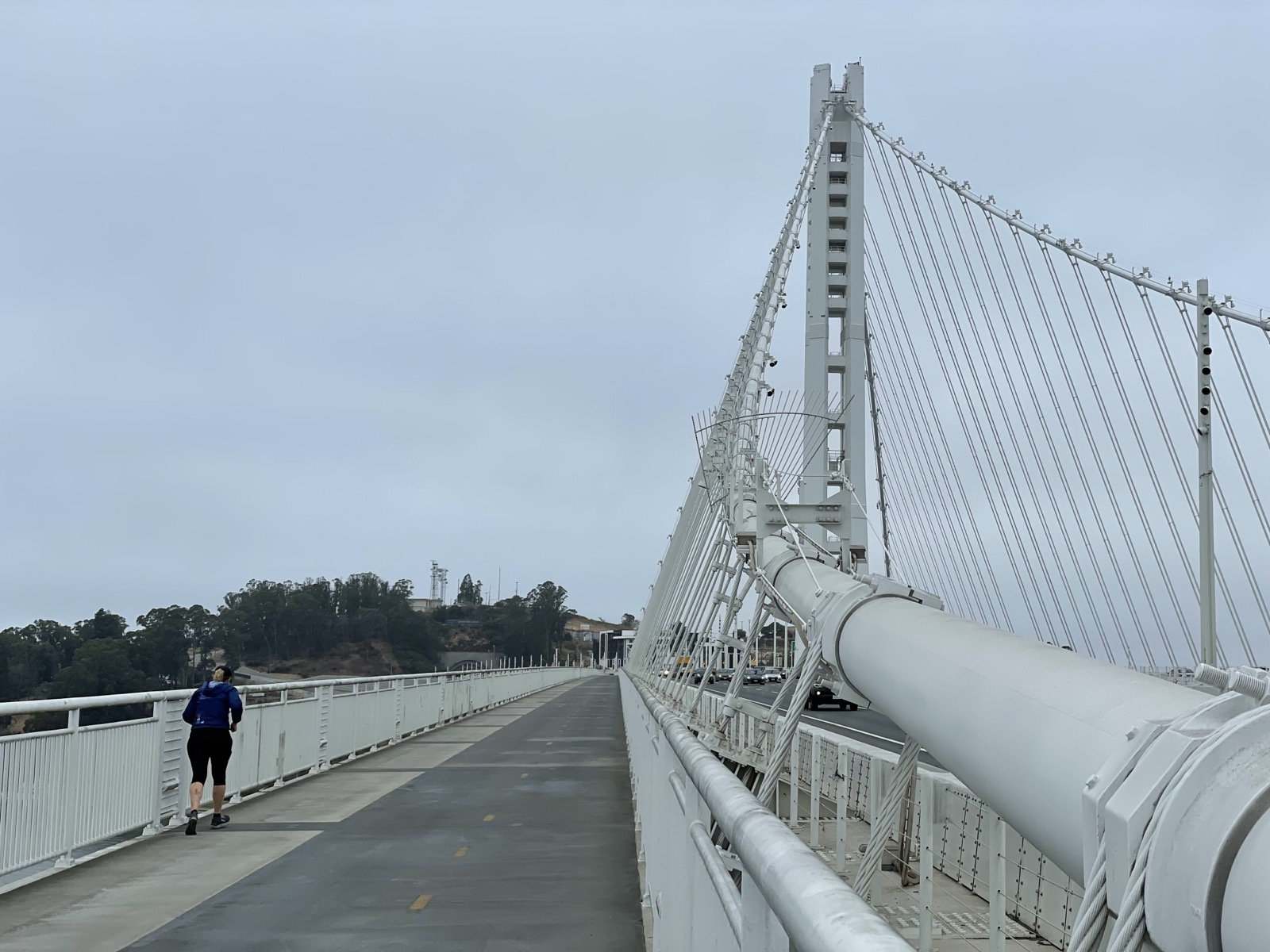 Segment 86, photo 6