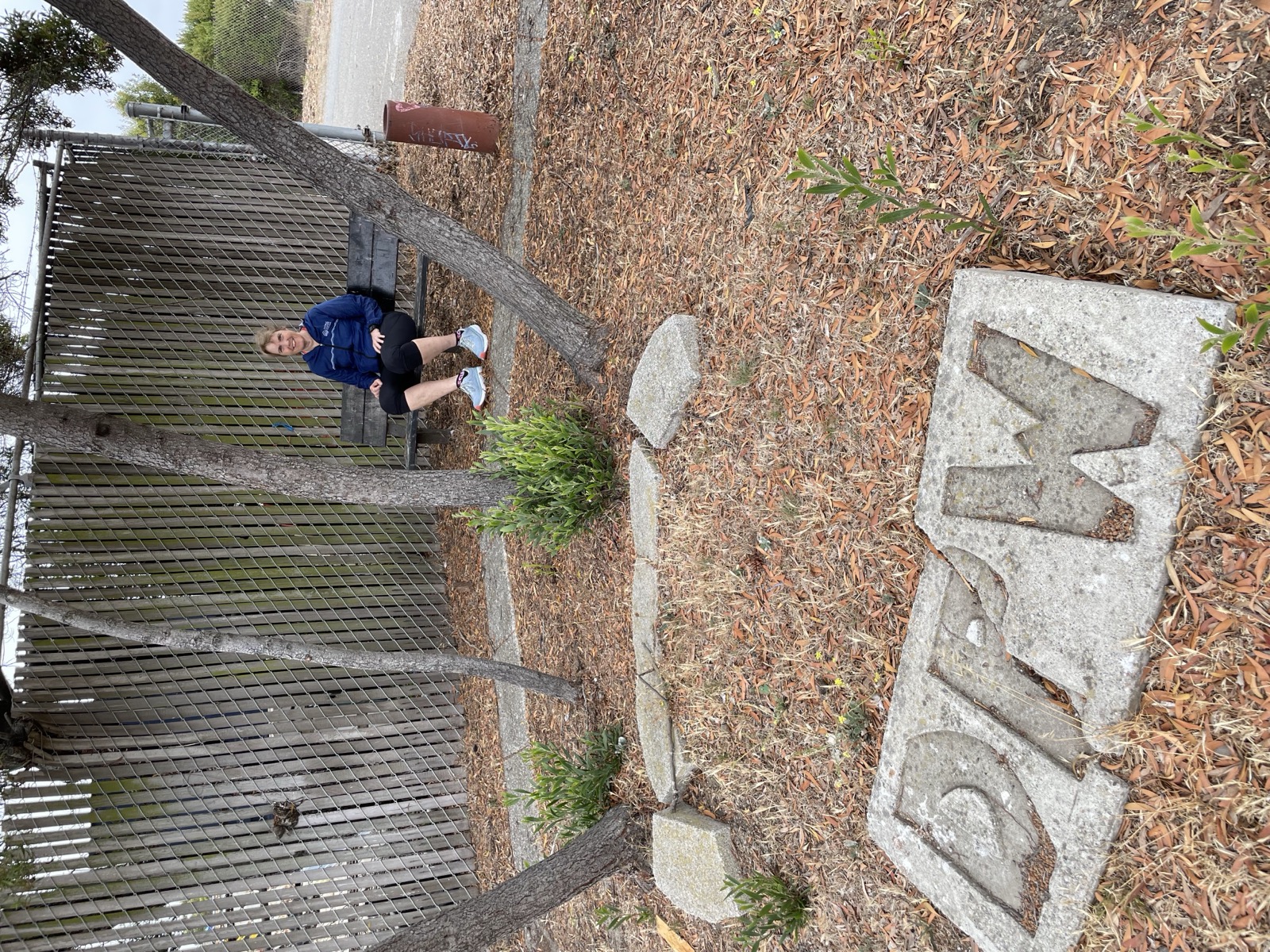 Segment 87, photo 9