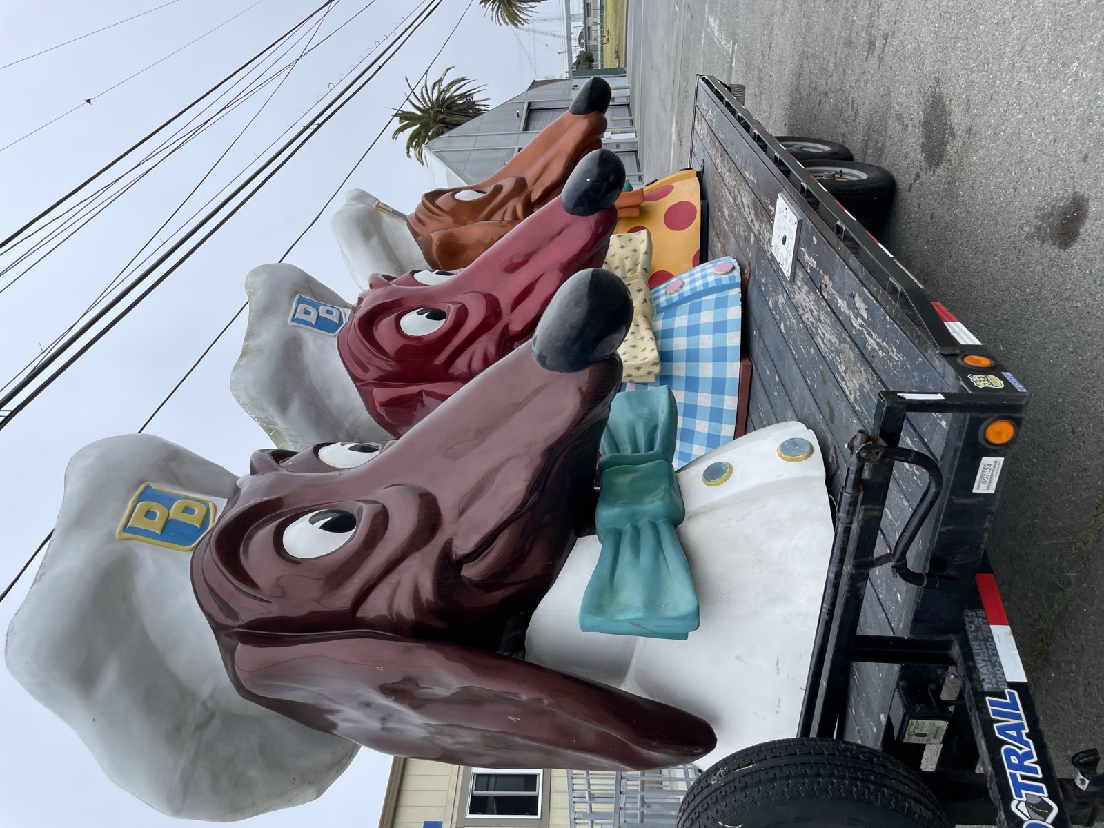 Segment 87, photo 10