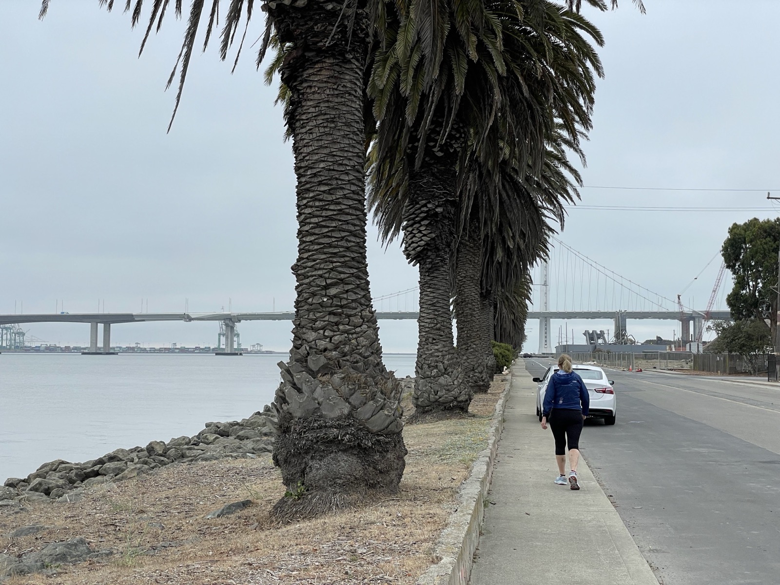 Segment 87, photo 17