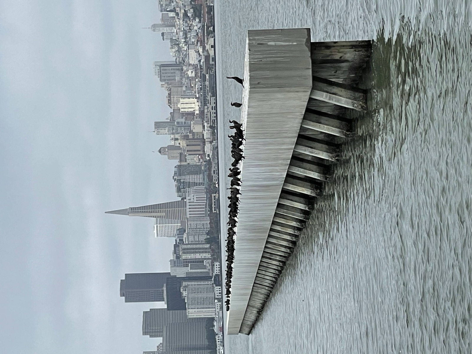 Segment 87, photo 21