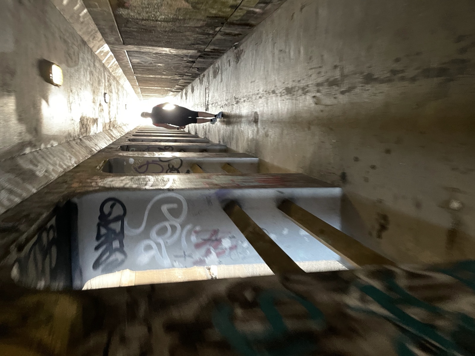 Segment 88, photo 9