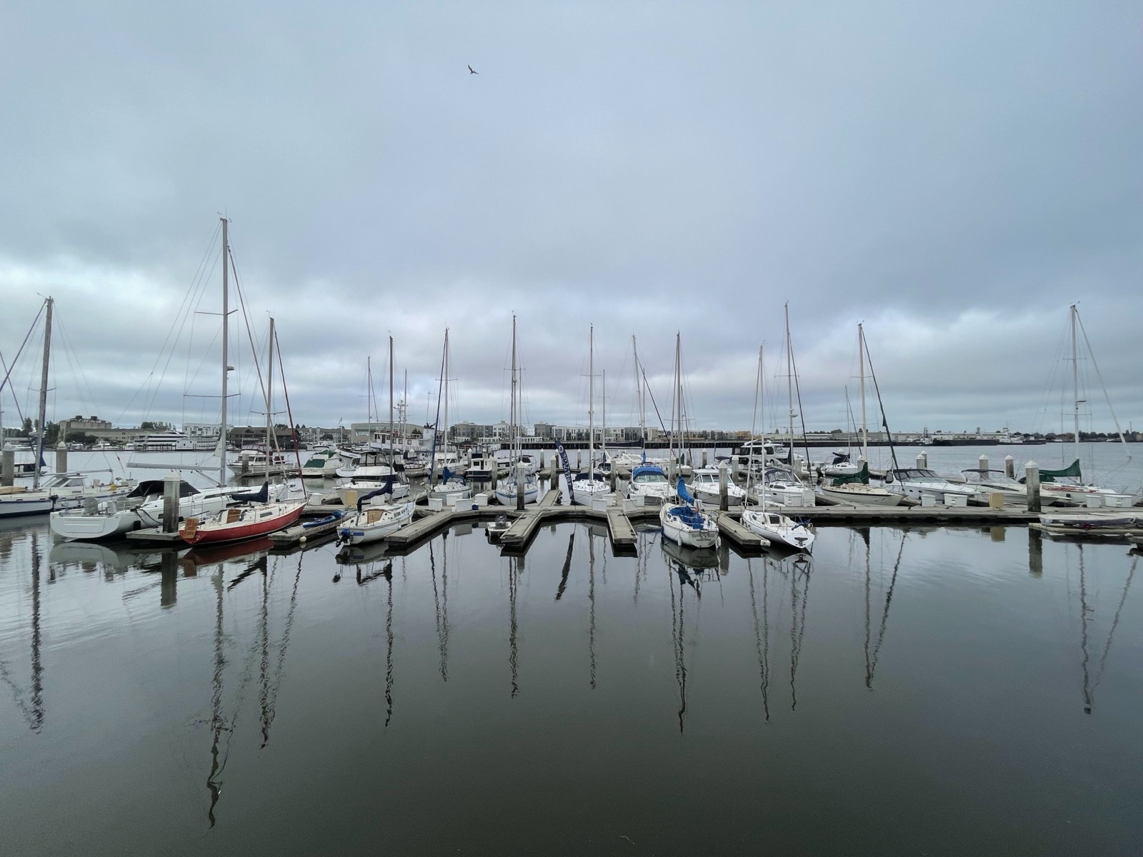Segment 89, photo 6