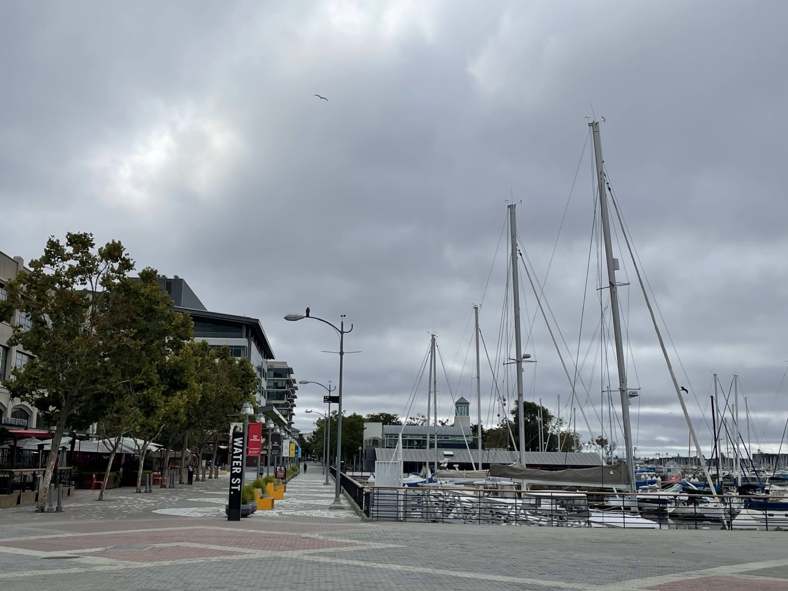 Segment 89, photo 8