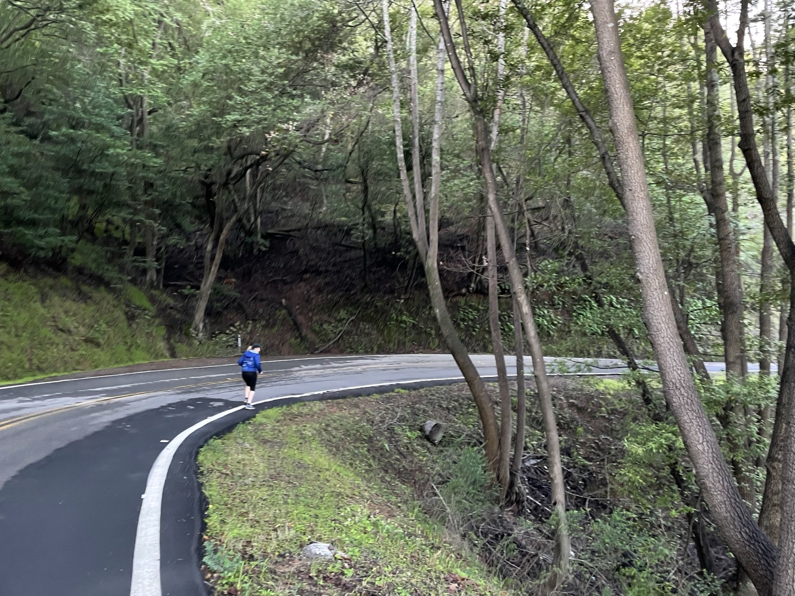 Segment 9, photo 15