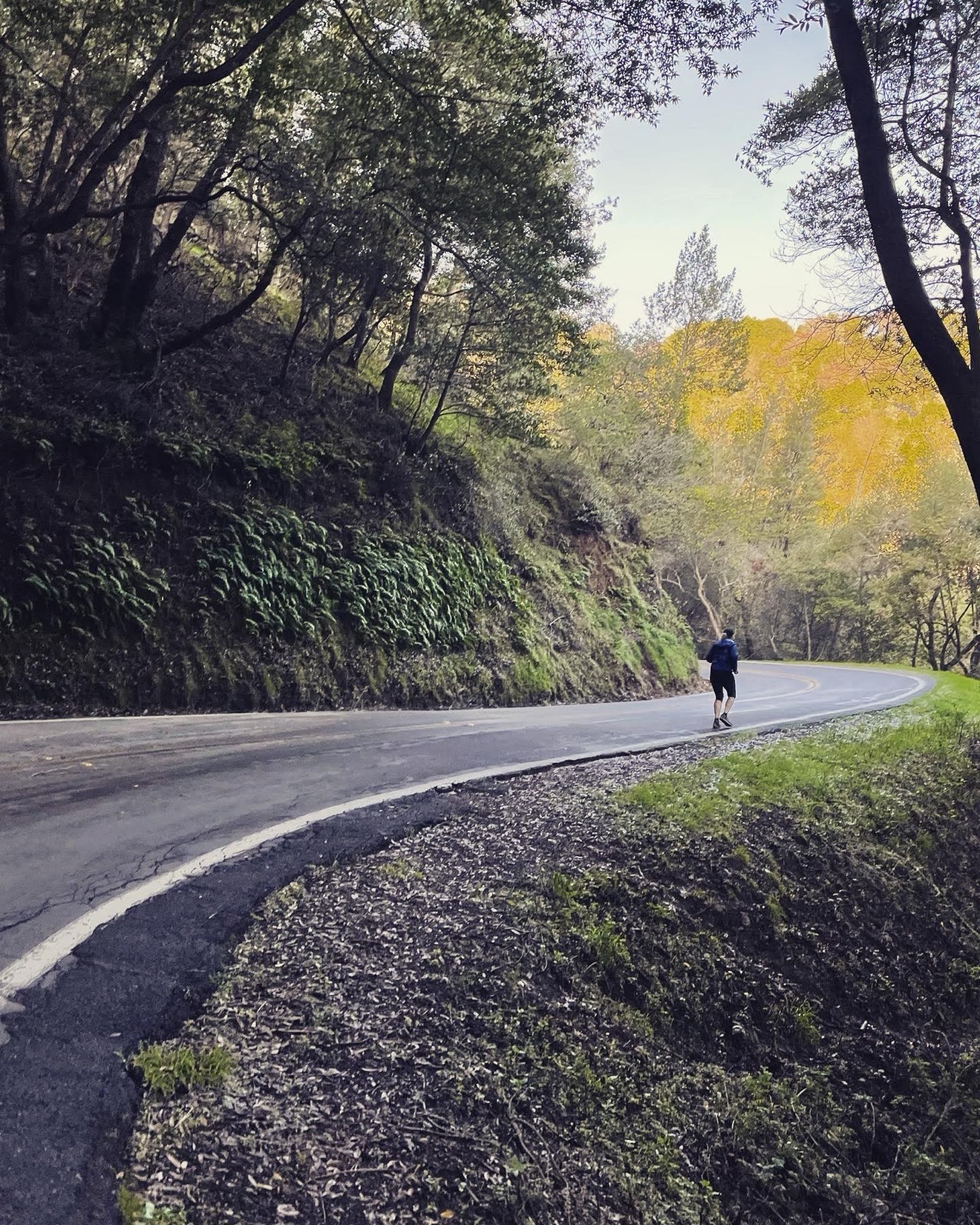 Segment 9, photo 19