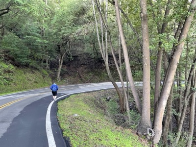 Segment 9 photo 14
