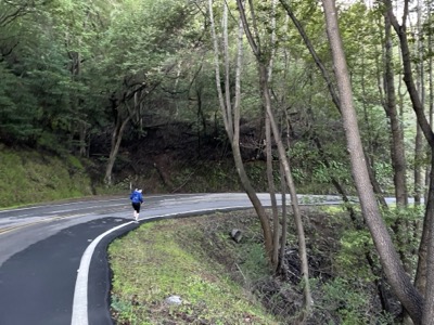 Segment 9 photo 15