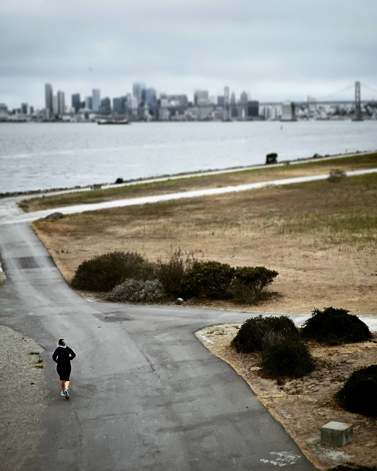 Segment 90, photo 9