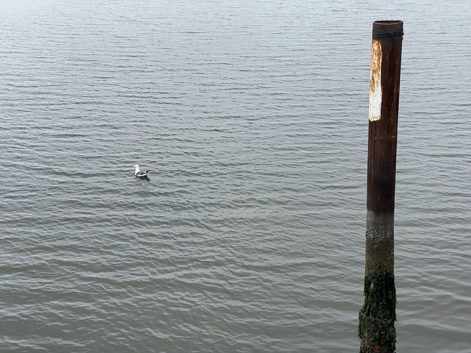 Segment 90, photo 15