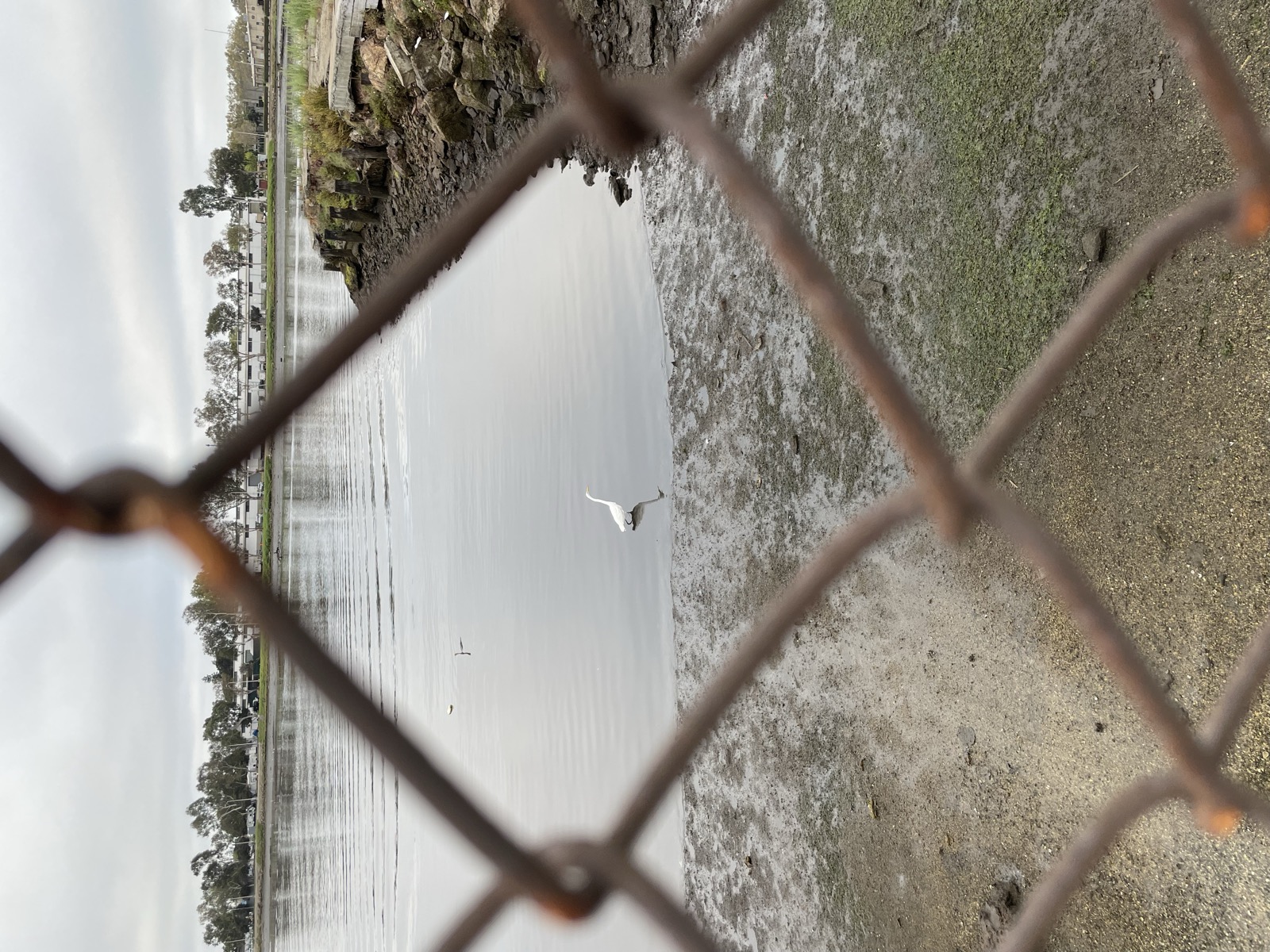 Segment 91, photo 2