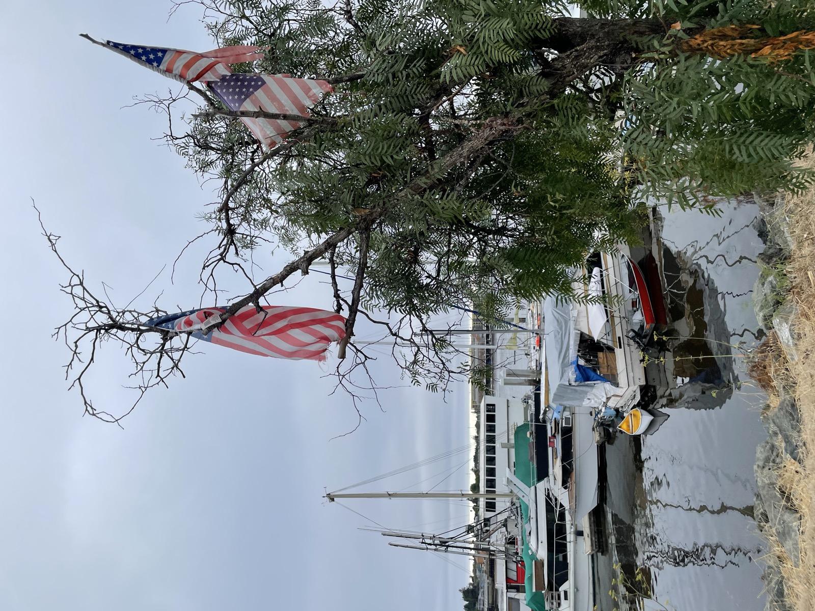 Segment 91, photo 12