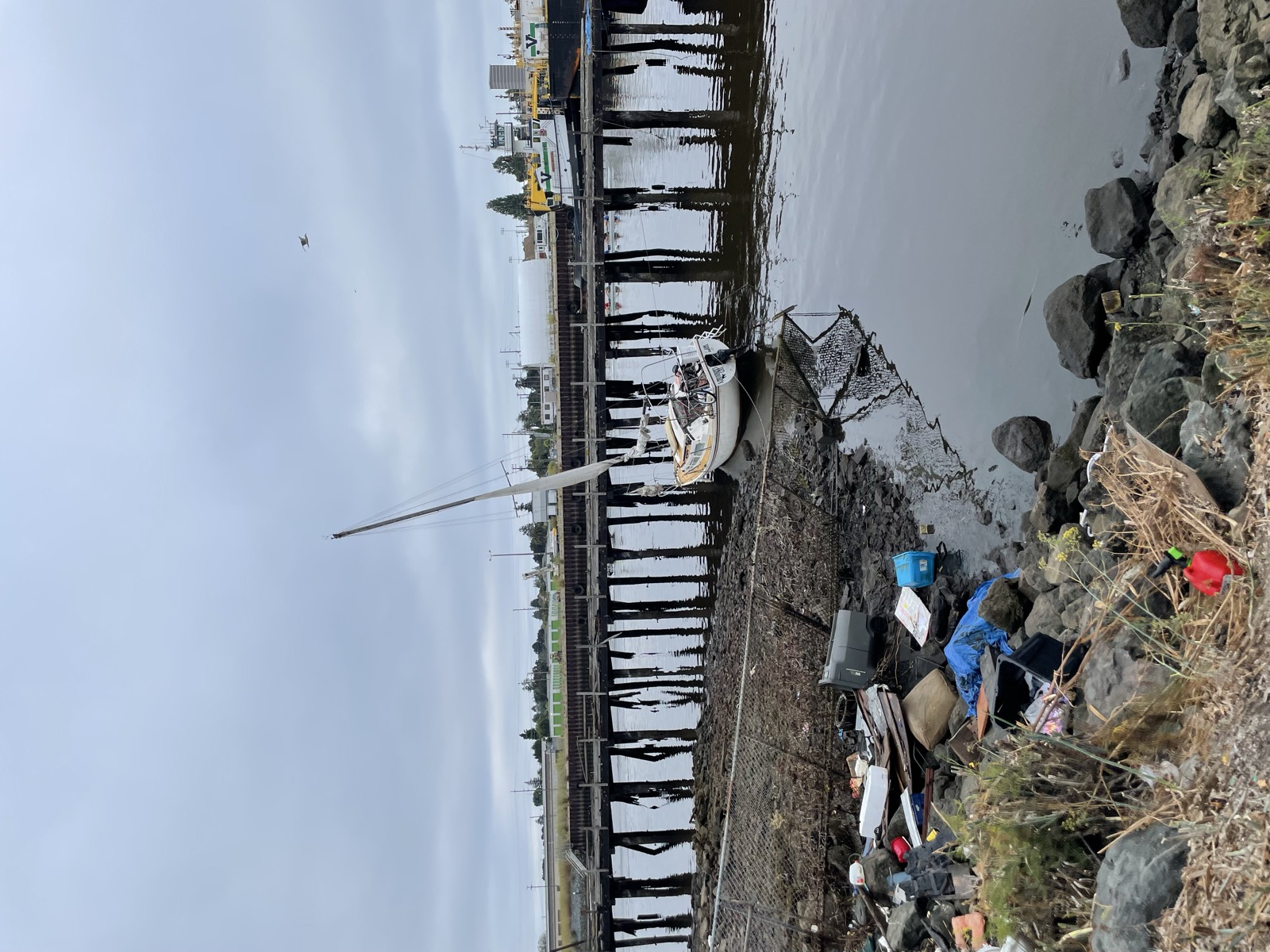Segment 91, photo 13