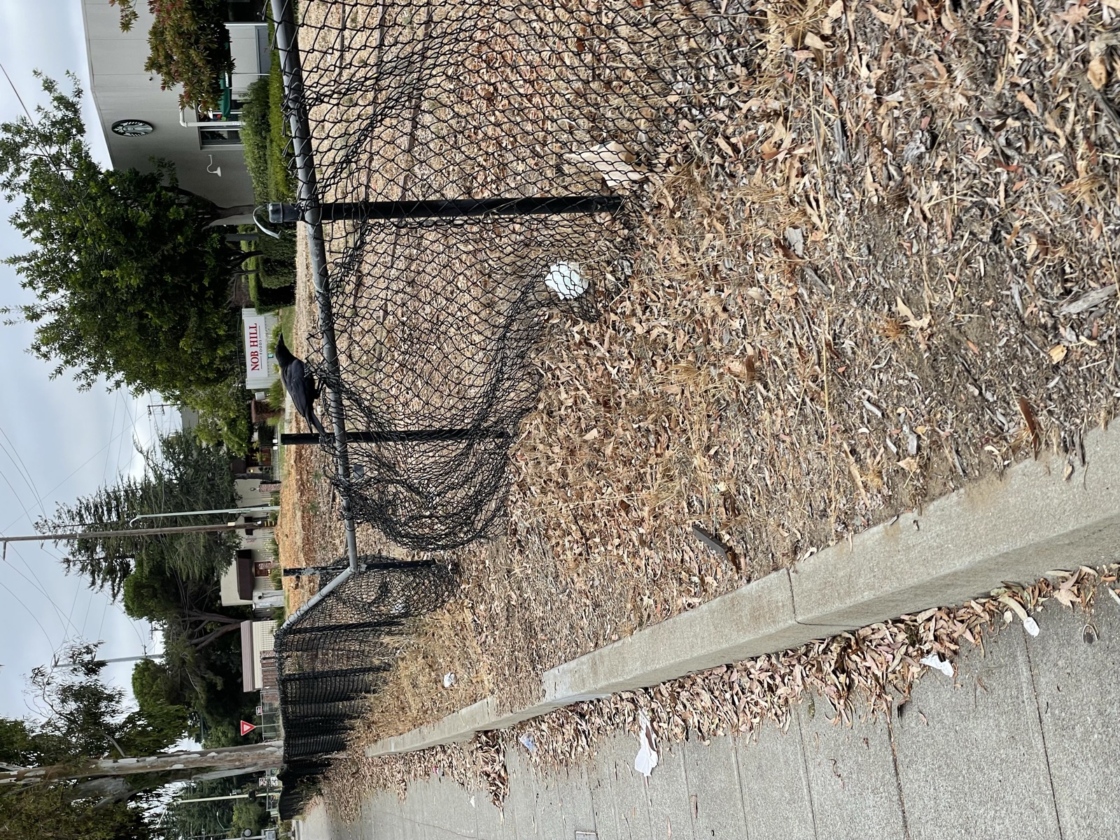 Segment 91, photo 21