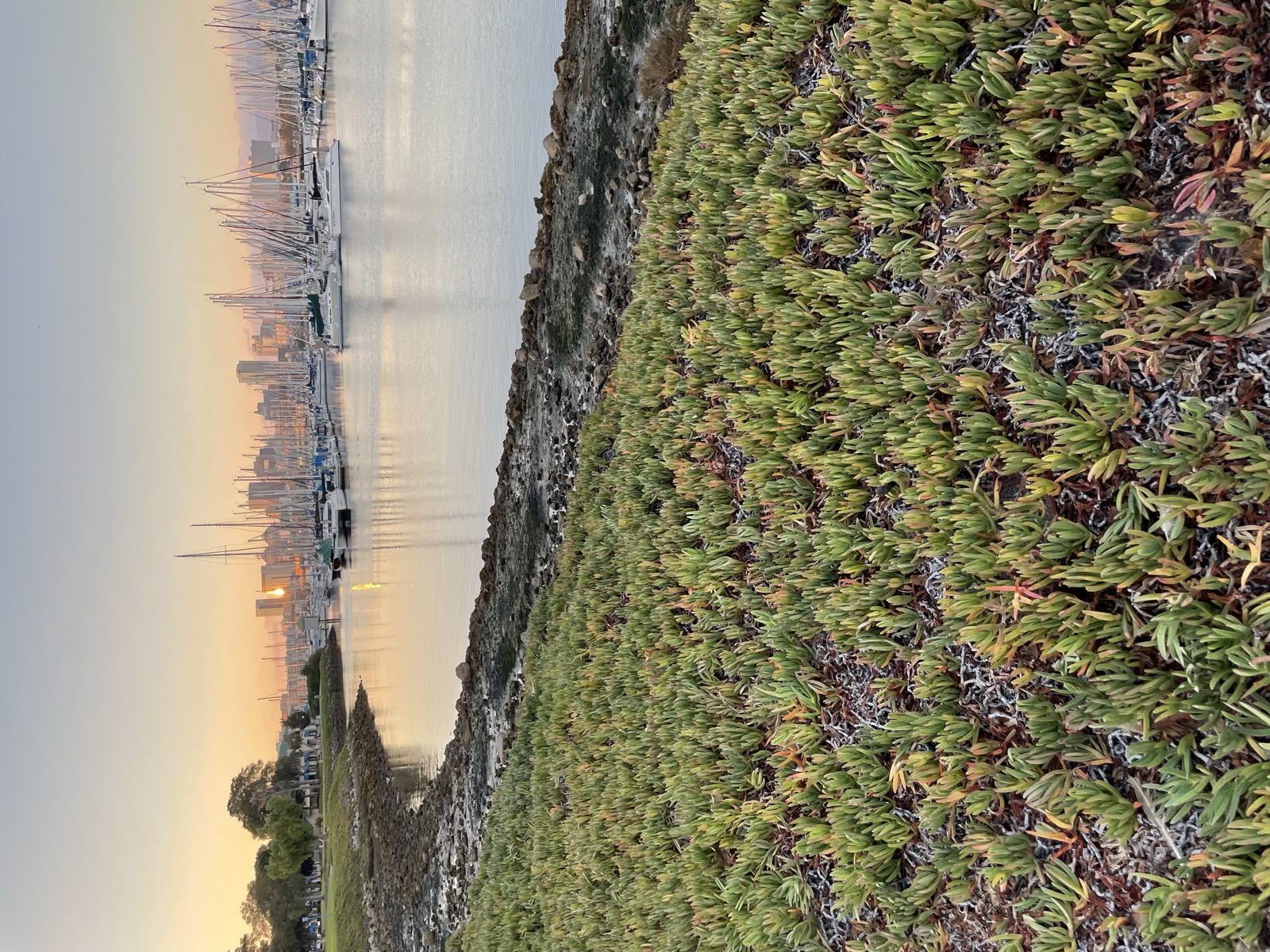 Segment 93, photo 10