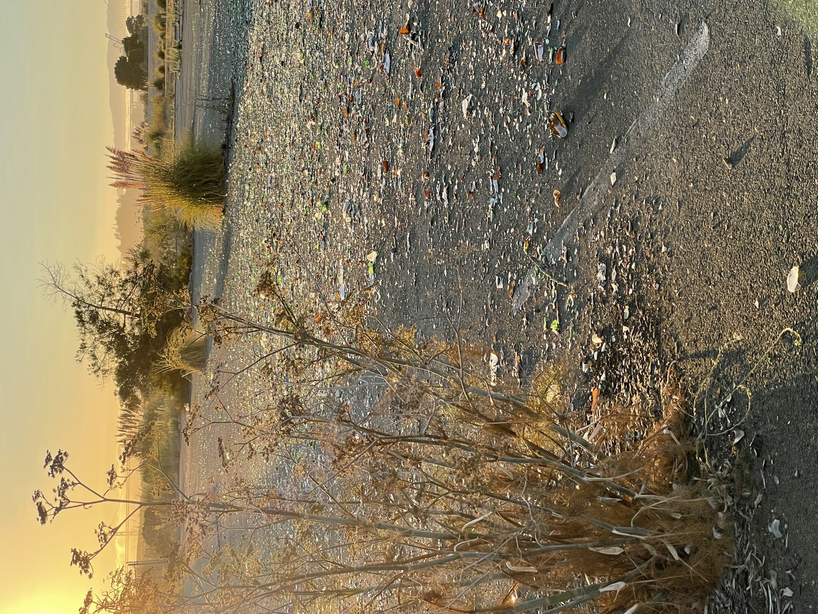 Segment 94, photo 17