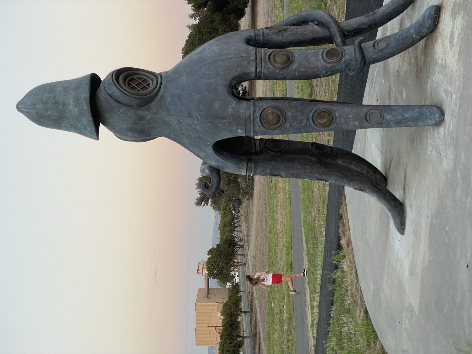 Segment 95, photo 11