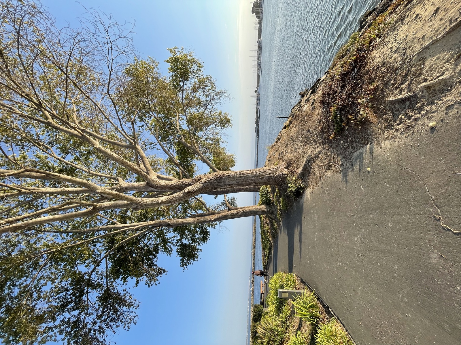 Segment 96, photo 3
