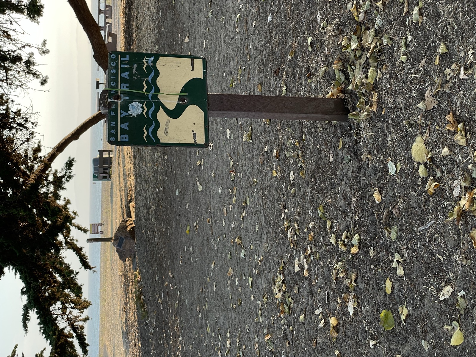 Segment 96, photo 9