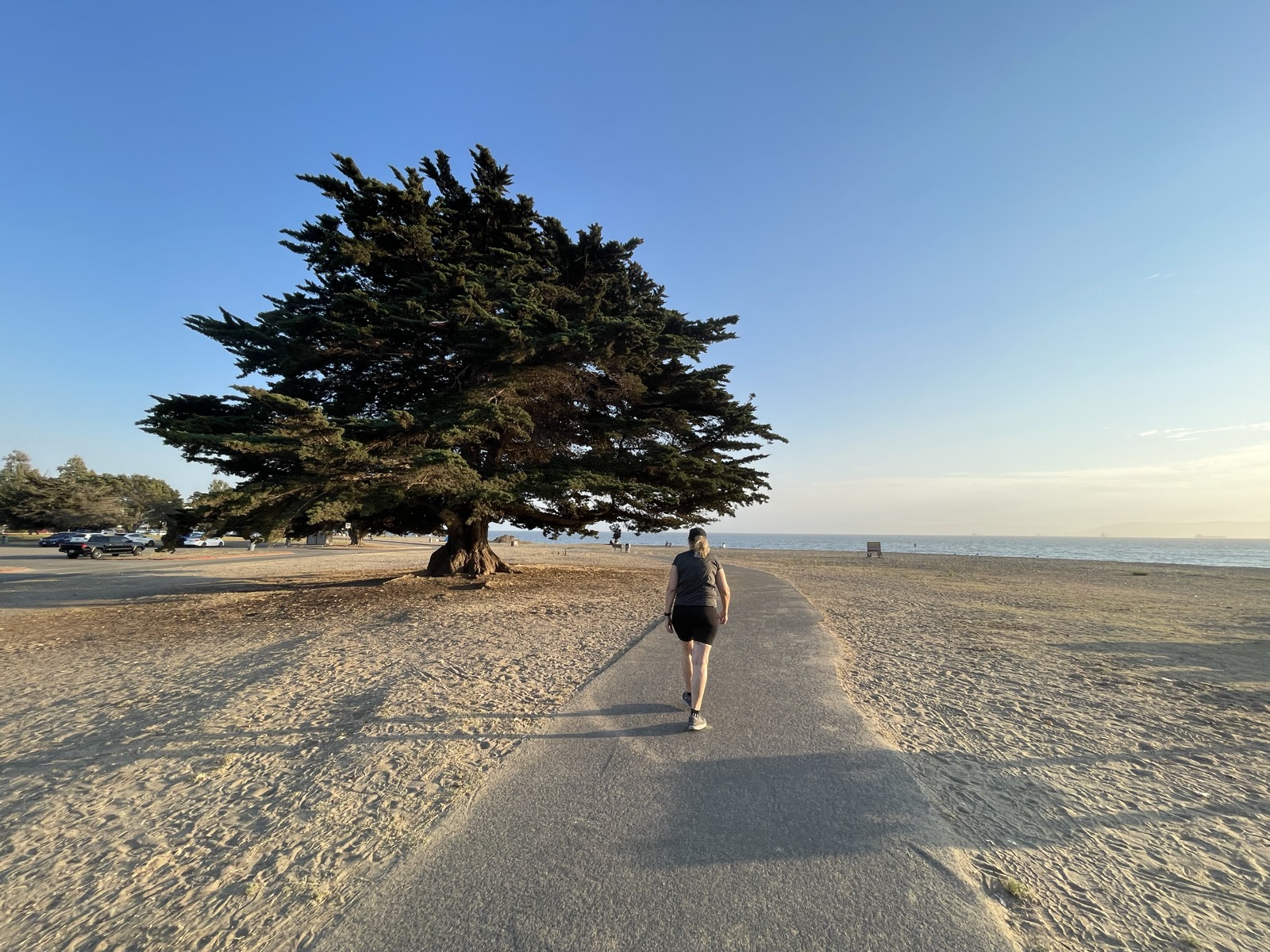 Segment 96, photo 10