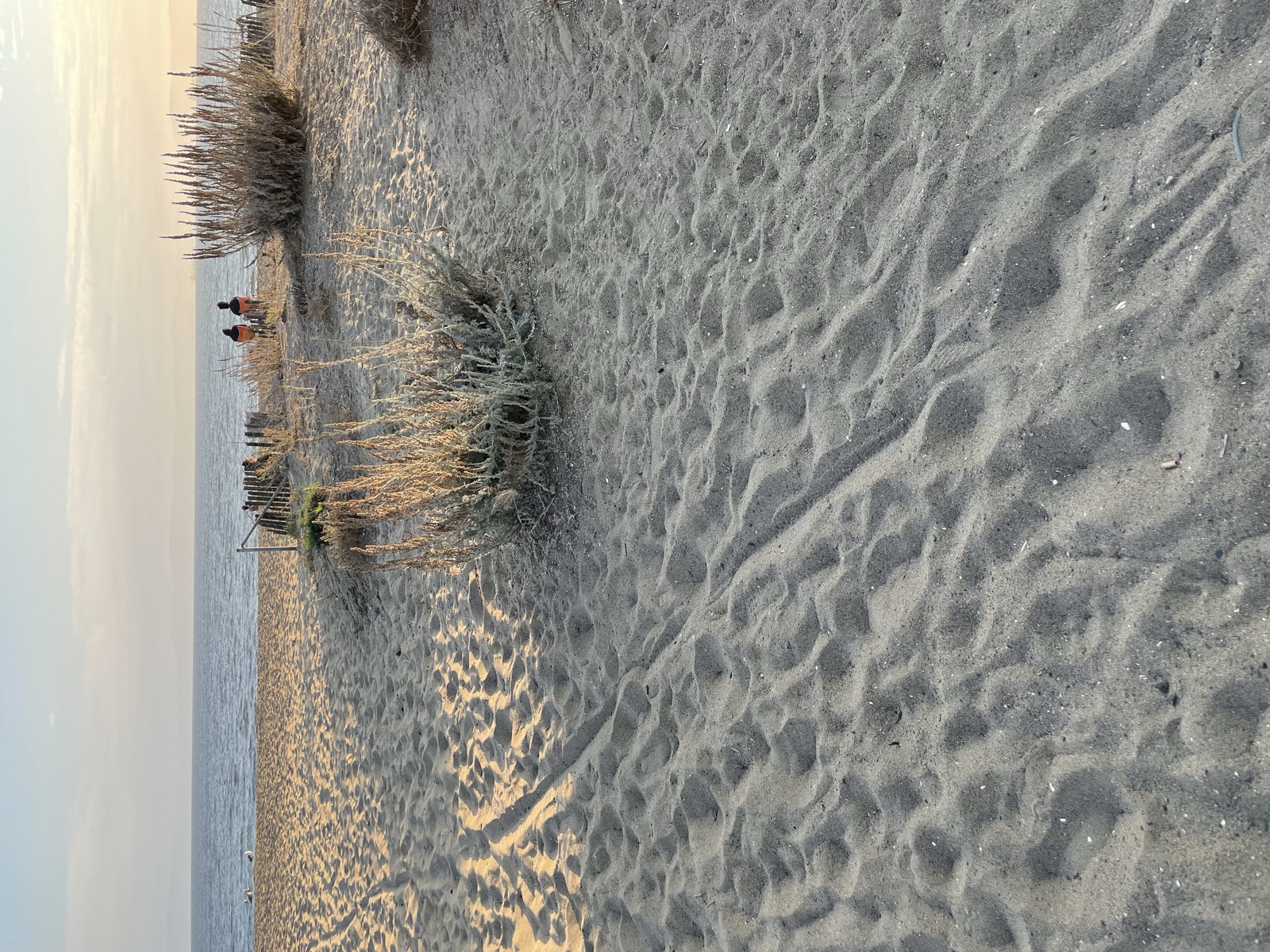 Segment 96, photo 11
