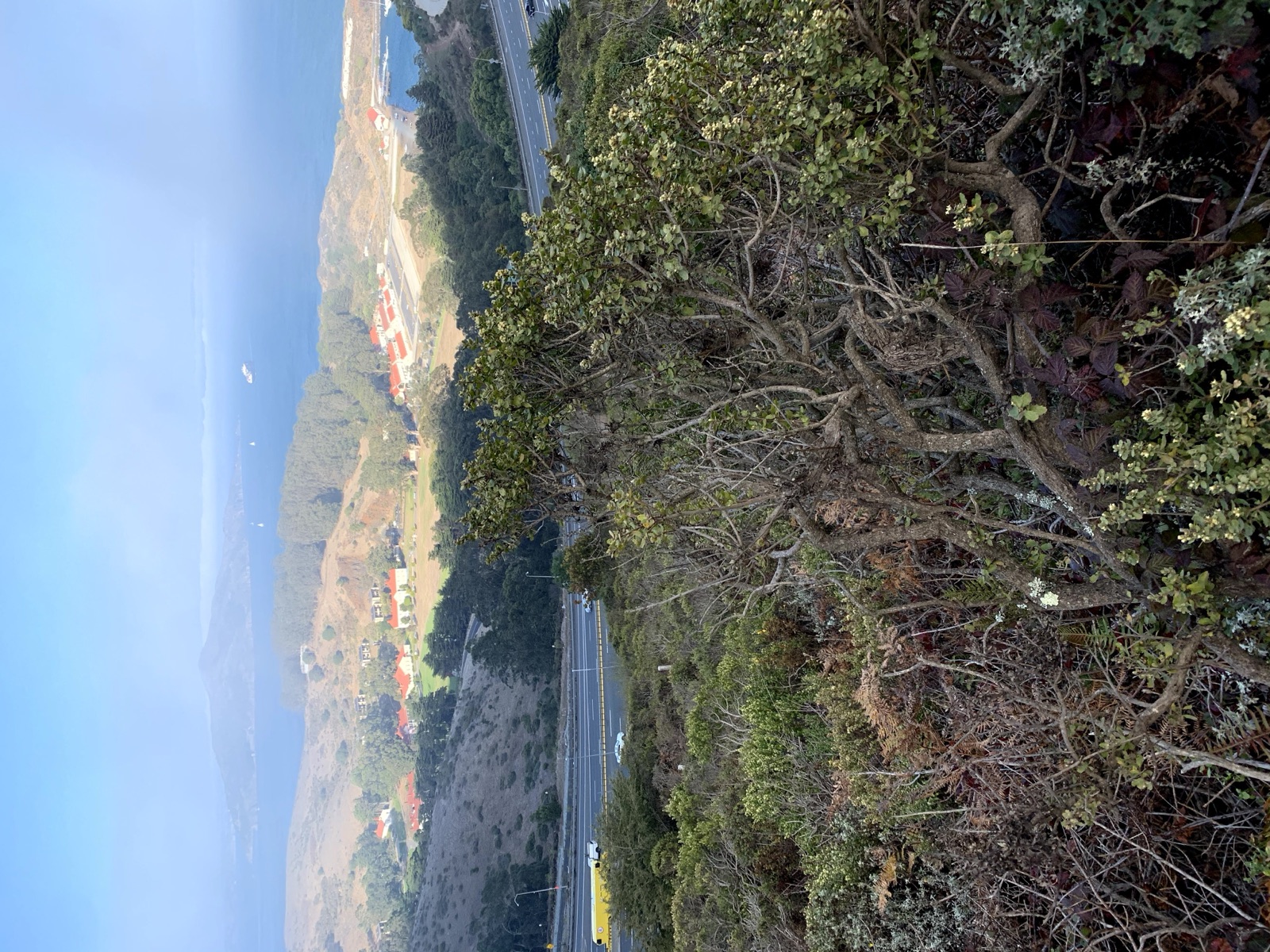 Segment 1, photo 3