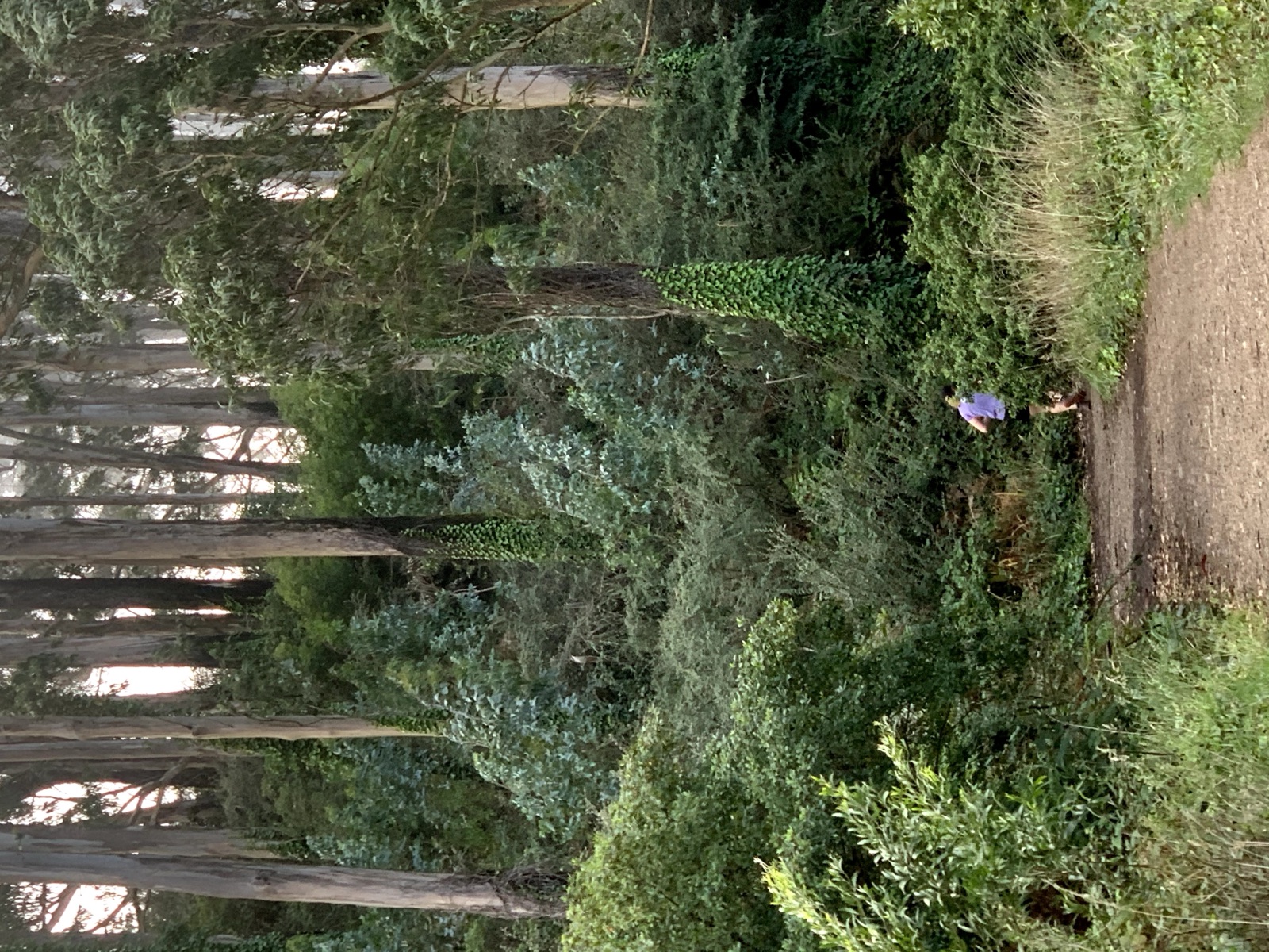 Segment 1, photo 6