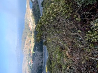 Segment 1 photo 3