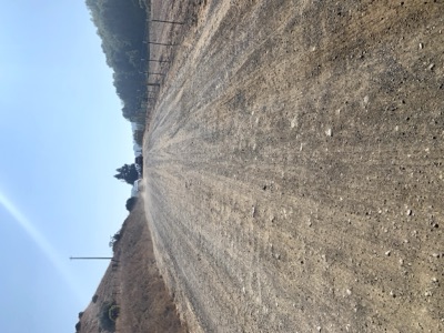 Segment 10 photo 2