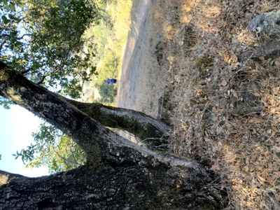 Segment 11 photo 4