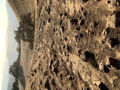 Segment 11 photo 6