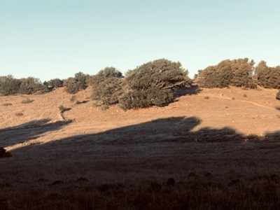 Segment 11 photo 9