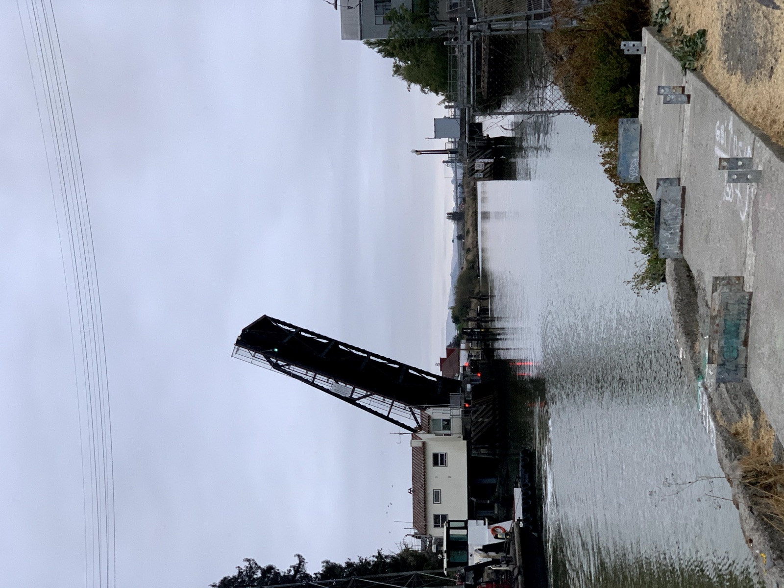 Segment 12, photo 10