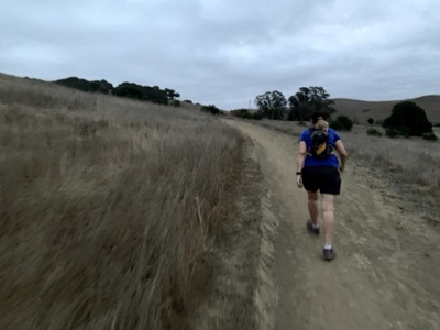 Segment 12 photo 2