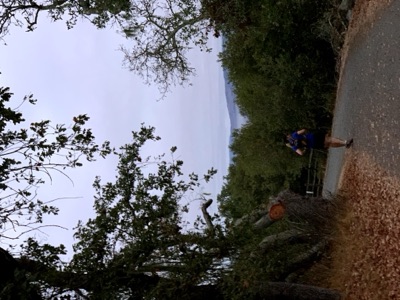 Segment 12 photo 3